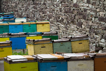 beehives near a stone wall