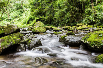 streamwaterfall drakensberg south africa 