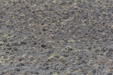 newly furrowed fertile farmland