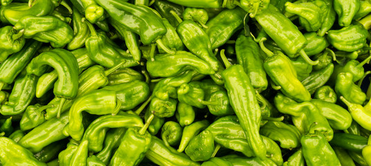 green peper chili. background
