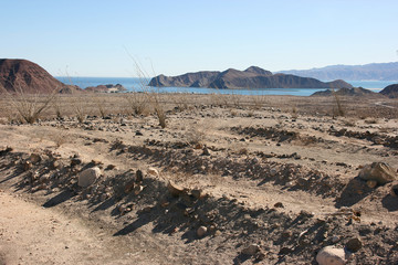 Long distance cycling on remote and deserted gravel roads, Sonoran Desert, Baja California Norte, Mexico
