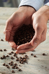 Coffee beans in the hands