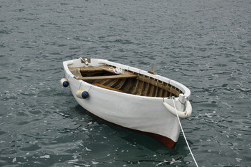 A small white boat on the water