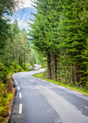Obraz premium Scenic winding road through fir forest in Norway