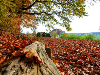 Autumn landscape in Switzerland