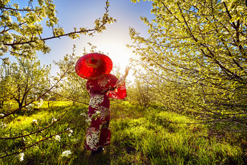 Woman in Japan costume at cherry blossom