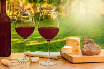 Two glasses of red wine at picnic with copyspace