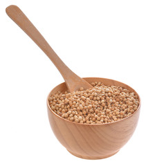Coriander seeds in wooden bowl on white background
