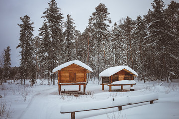 House in the Siberian taiga in winter