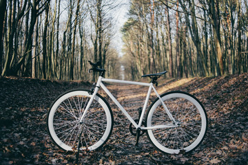 Fototapeta premium bike in nature