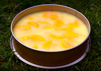 Fresh homemade peach dessert with pudding