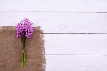 pink flowers hyacinths on white wooden table, top view