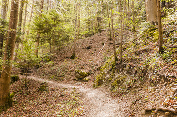 Reigoldswil, Wasserfallen, Bergwanderweg, Jägerwägli, Waldweg, Wald, Jura, Jurawanderung, Fluss, Frenke, Baselland, Baselbiet, Frühling, Schweiz