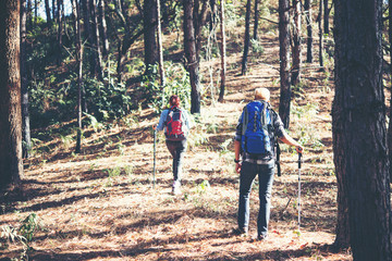 Young couple hiking at the pine forest.