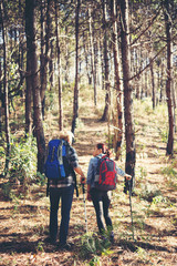 Fototapeta premium Young couple hiking at the pine forest.