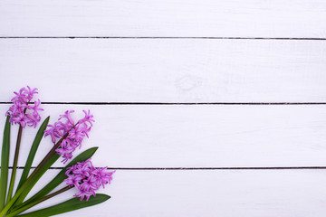 lilac flowers on wooden table background, top view