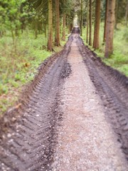 Befahrene Forststraße mit Reifenabdrücken