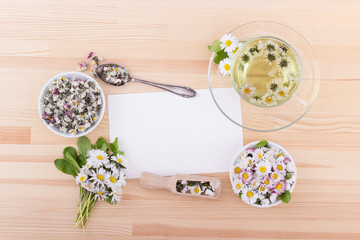 daisies / Tea with daisies and copy space 