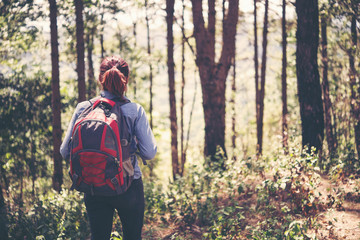 Young girl walking in pine forset for go to target.