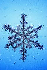 Snowflakes on a blue background