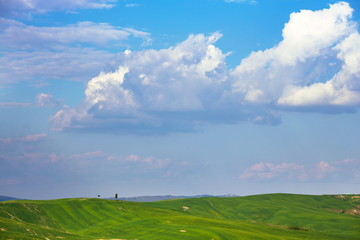 Typical Tuscan landscape - green waves