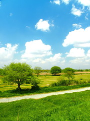 春の江戸川河川敷風景