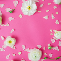 Floral pattern and frame of white ranunculus and petals on pink background. Flat lay, top view. Natural background.