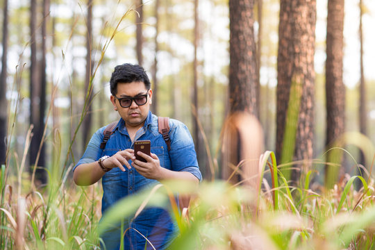 A man using his mobile smart phone in the pine forest, Thailand