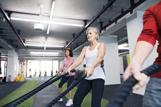 Seniors in gym working out with battle ropes