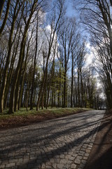 Deutsche Alleenstraße auf Rügen, Kopfsteinpflaster Straße