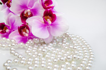 Fototapeta na wymiar pearl and purple orchid on a white glass 