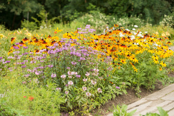 Flowers Monarda and Rudbeckia on the flowerbed - 146237658