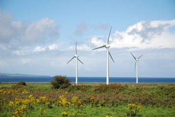 Irish Wind Turbines