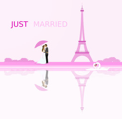 Fototapeta na wymiar Just married - wedding. Bridal couple in Paris with umbrella. Eiffel tower in the background and swans in love. Pink shade.
