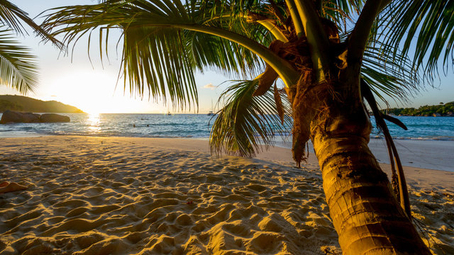 Sunset at Anse Lazio beach, Praslin Island, Seychelles 