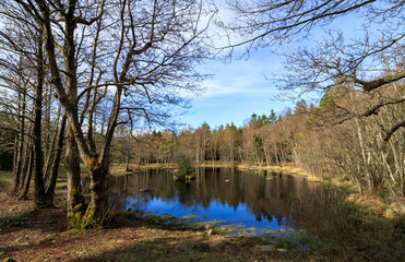 Fototapeta na wymiar Taarntjernet, a small lake in Jomfruland National Park, Kragero, Norway