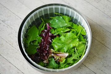 Freshly picked salad greens being washed in a salad spinner bowl