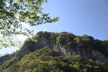 新緑の土佐の山間