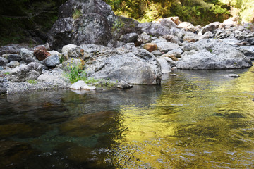 　太陽を浴びる清流