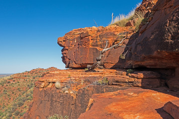 Felsformation am Kings Canyon