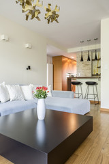 Spacious living room with couch