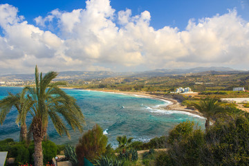 Fototapeta premium sea panorama to the coast with palms