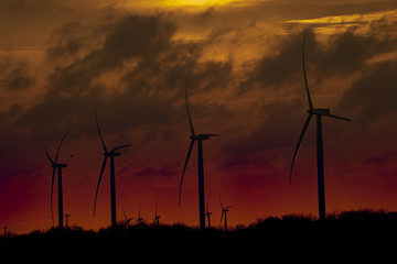 Obraz premium Sunset at the Windfarm