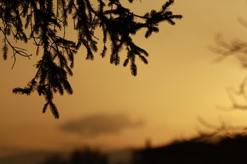 Fototapeta premium ocaso