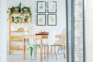 Bright dining room with plants