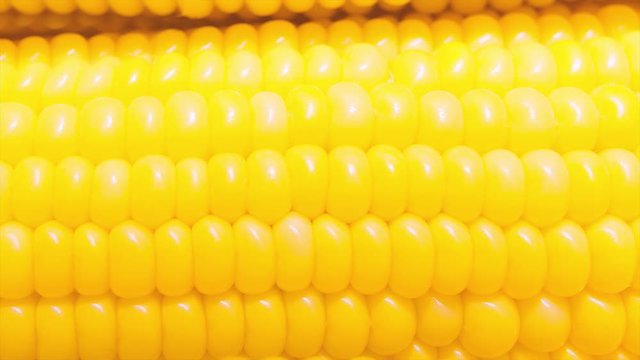 corn closeup image footage 