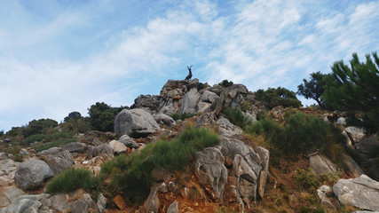Beautiful natural habitat in Juanar, Spain