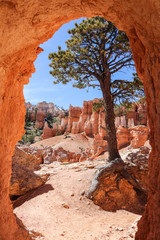 Rock window, Peek-A-Boo Trail, Bryce Canyon - obrazy, fototapety, plakaty