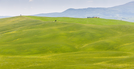 Hügelige Felder in der Toskana