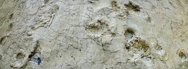 Fossile Fußabdrücke von Dinosauriern, Breitformat